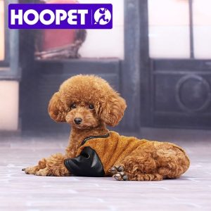 Poodle Dog Clothes