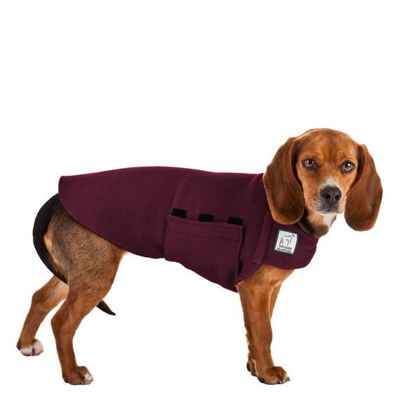 Beagle Dog Clothes