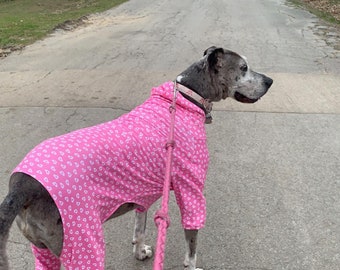 Great Dane Dog Clothes