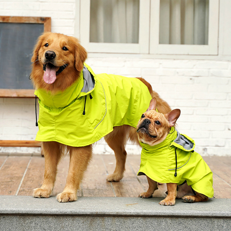 dog clothes for Labrador Retriever